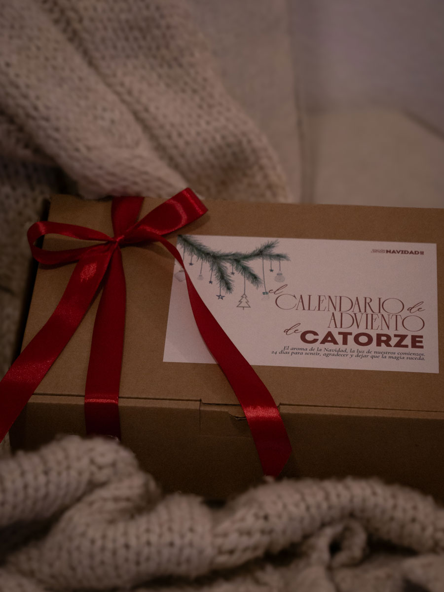 Calendario de Adviento de Catorze + Golden Ticket